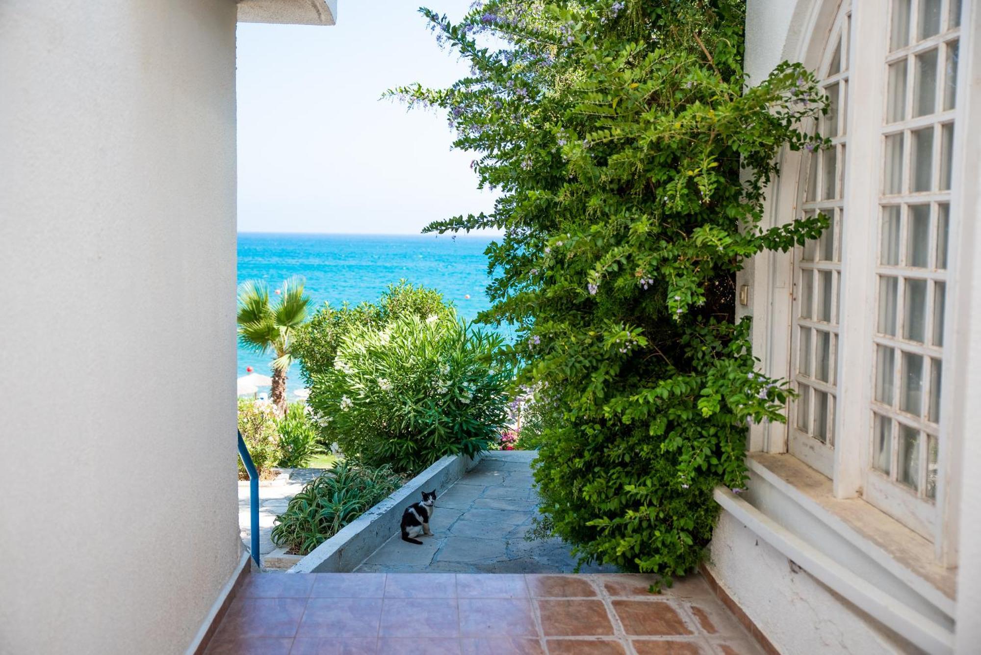 Pissouri Bay Studio Exteriör bild